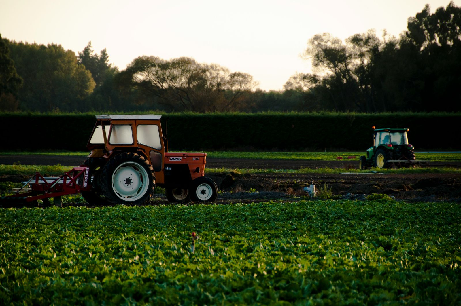 Agriculture Infrastructure Fund